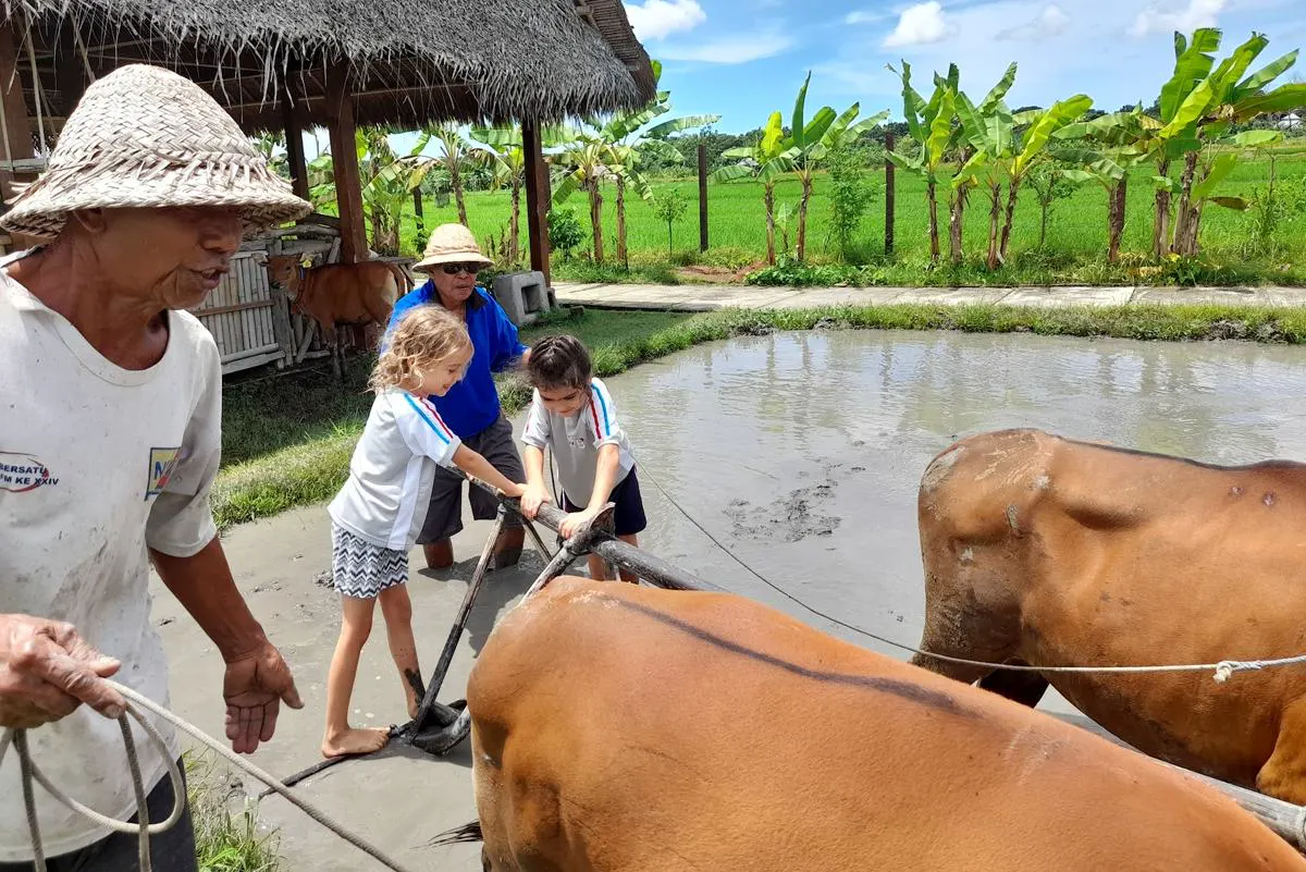 Lycee Francais de Bali campus